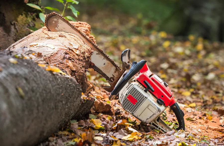 Landscape Maintenance