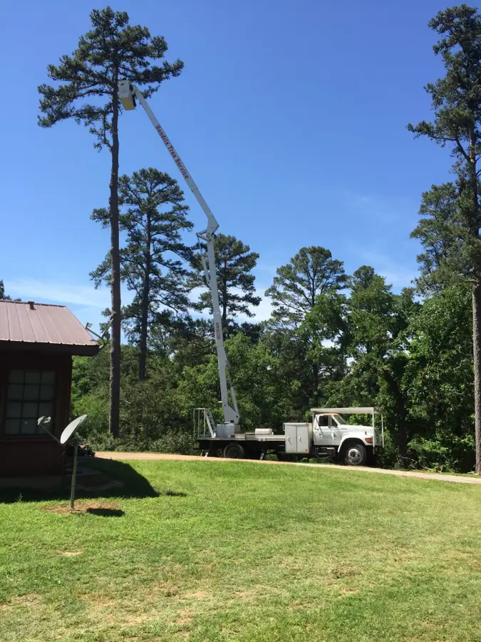 Stump Grinding